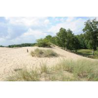 2786_5618 Sandlandschaft in Hamburg Boberg - Naturschutzgebiet Boberger Niederung. | Naturschutzgebiet Boberger Niederung